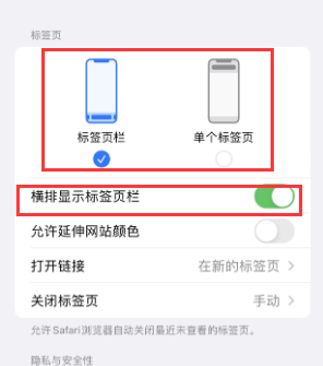 环江iPhone授权维修分享Safari浏览器如何切换标签栏位置 